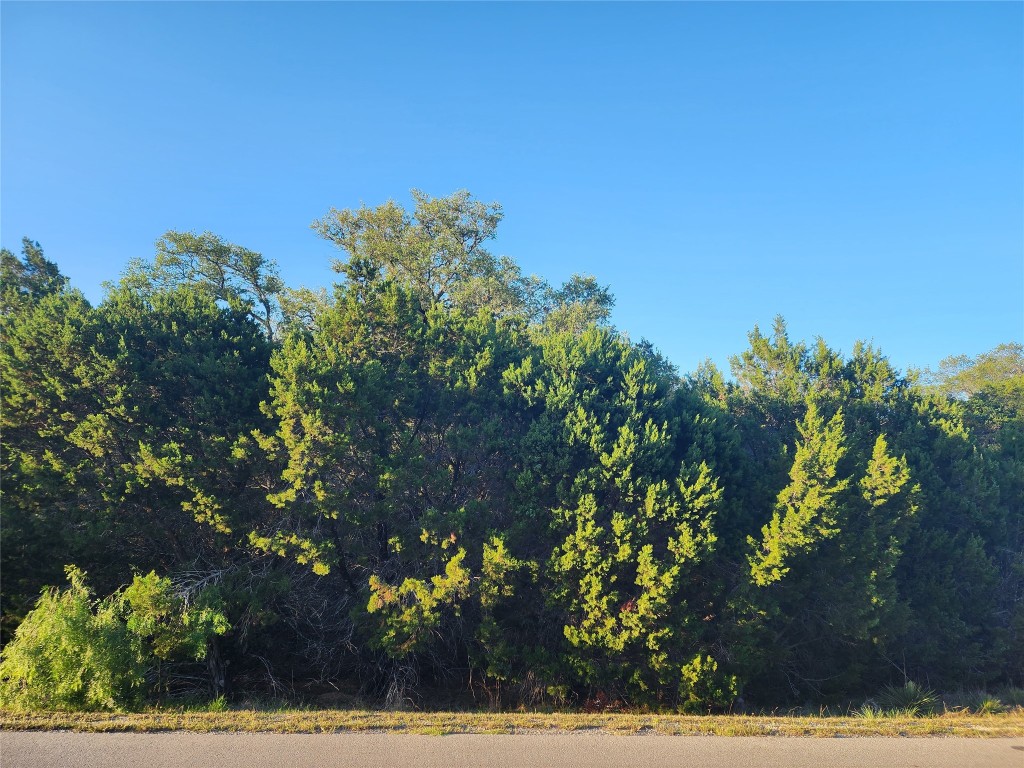 21304 Highland Lake Drive , Lago Vista, TX, 78645 | 5541988 | Realty Texas LLC