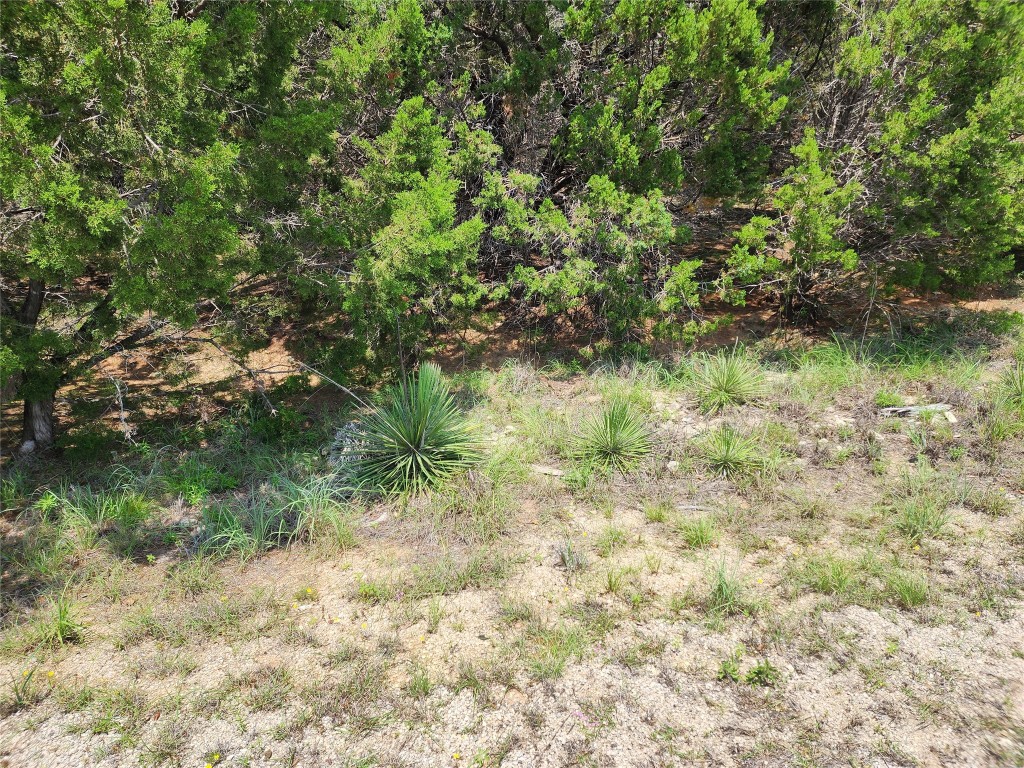 21304 Highland Lake Drive , Lago Vista, TX, 78645 | 5541988 | Realty Texas LLC