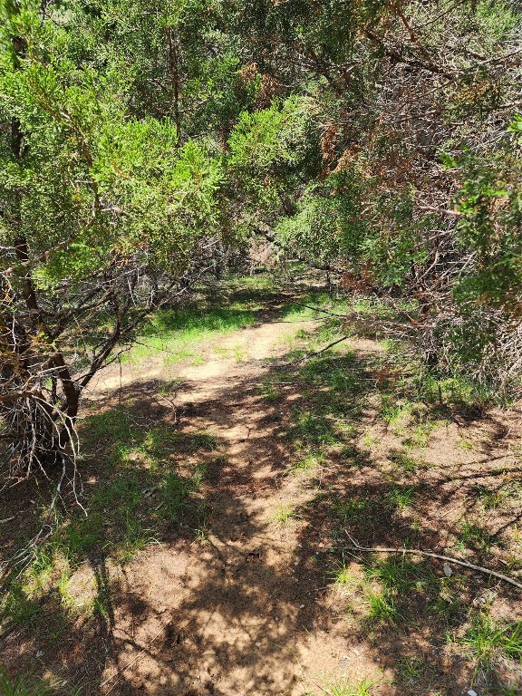 21304 Highland Lake Drive , Lago Vista, TX, 78645 | 5541988 | Realty Texas LLC