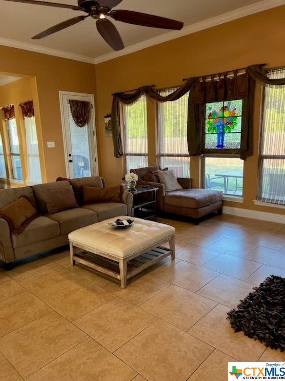 5490 Hwy 317 Highway 300 , Temple, TX, 76503 | 503709 | Realty Texas LLC