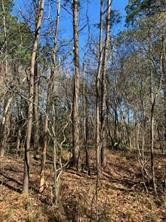 27833 Fm 2090 Road , Splendora, TX, 77372 | 34741419 | Realty Texas LLC