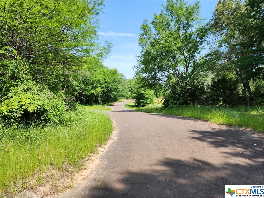 Sold: 7317 FOX - HORSE Road Blog Image Banner