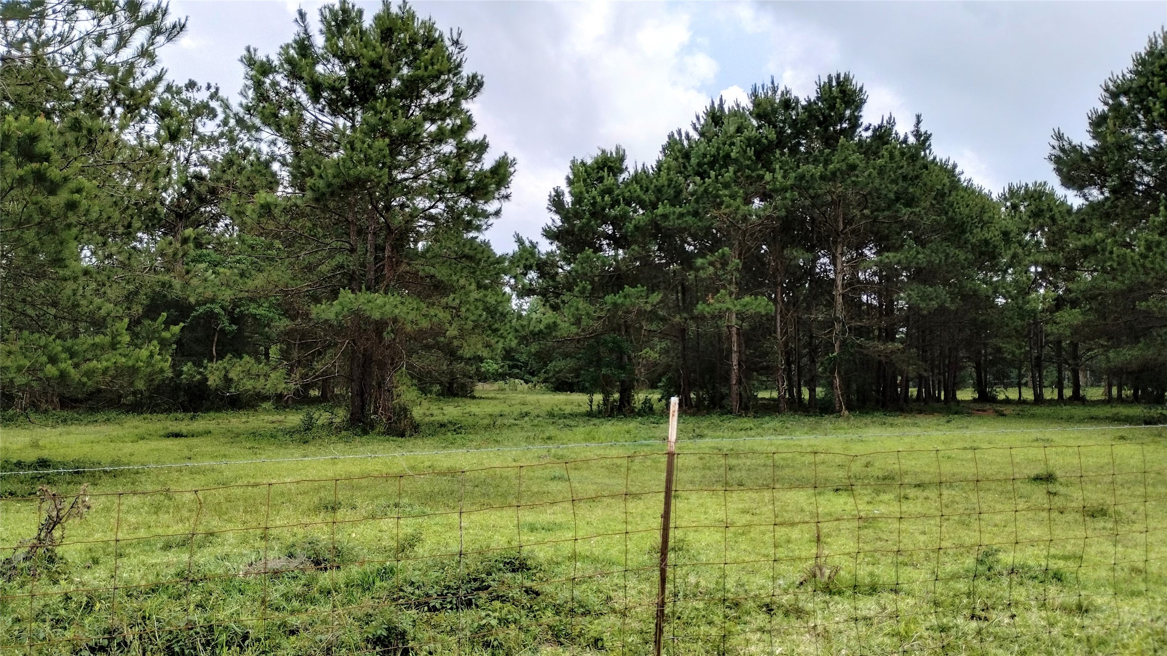 0 TBA Interstate 10 , Hamshire, TX, 77622 | 44519401 | Realty Texas LLC