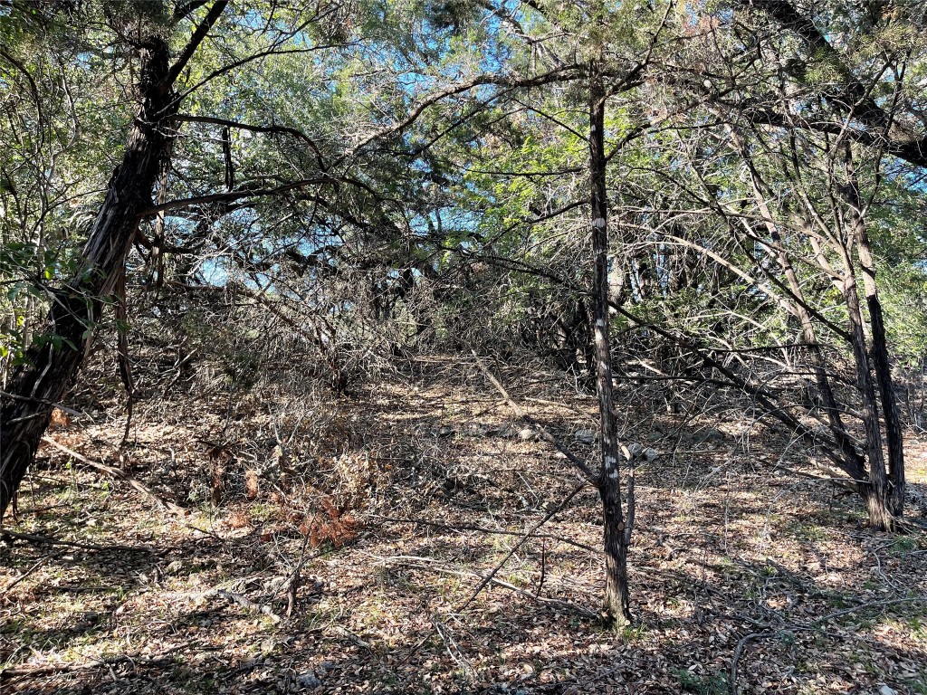 21105 Santa Carlo Avenue , Lago Vista, TX, 78645 | 5795801 | Realty Texas LLC