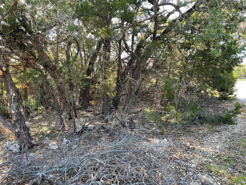 21105 Santa Carlo Avenue , Lago Vista, TX, 78645 | 5795801 | Realty Texas LLC