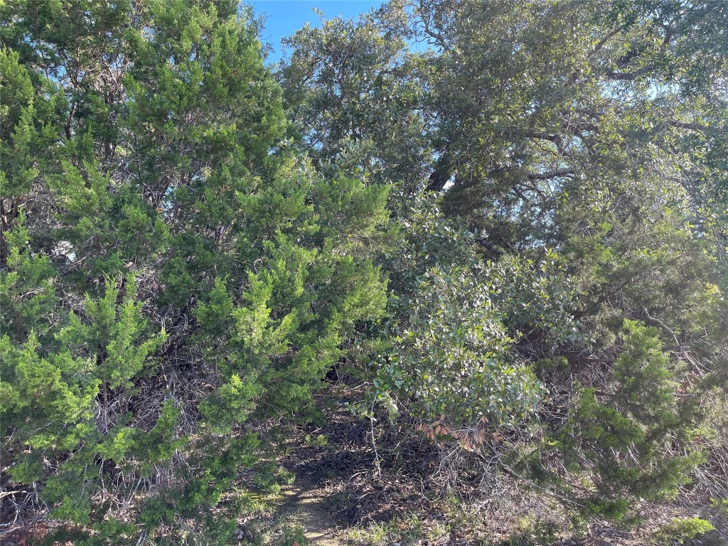 21105 Santa Carlo Avenue , Lago Vista, TX, 78645 | 5795801 | Realty Texas LLC