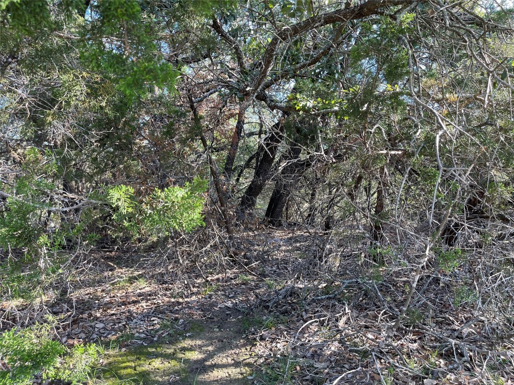21105 Santa Carlo Avenue , Lago Vista, TX, 78645 | 5795801 | Realty Texas LLC
