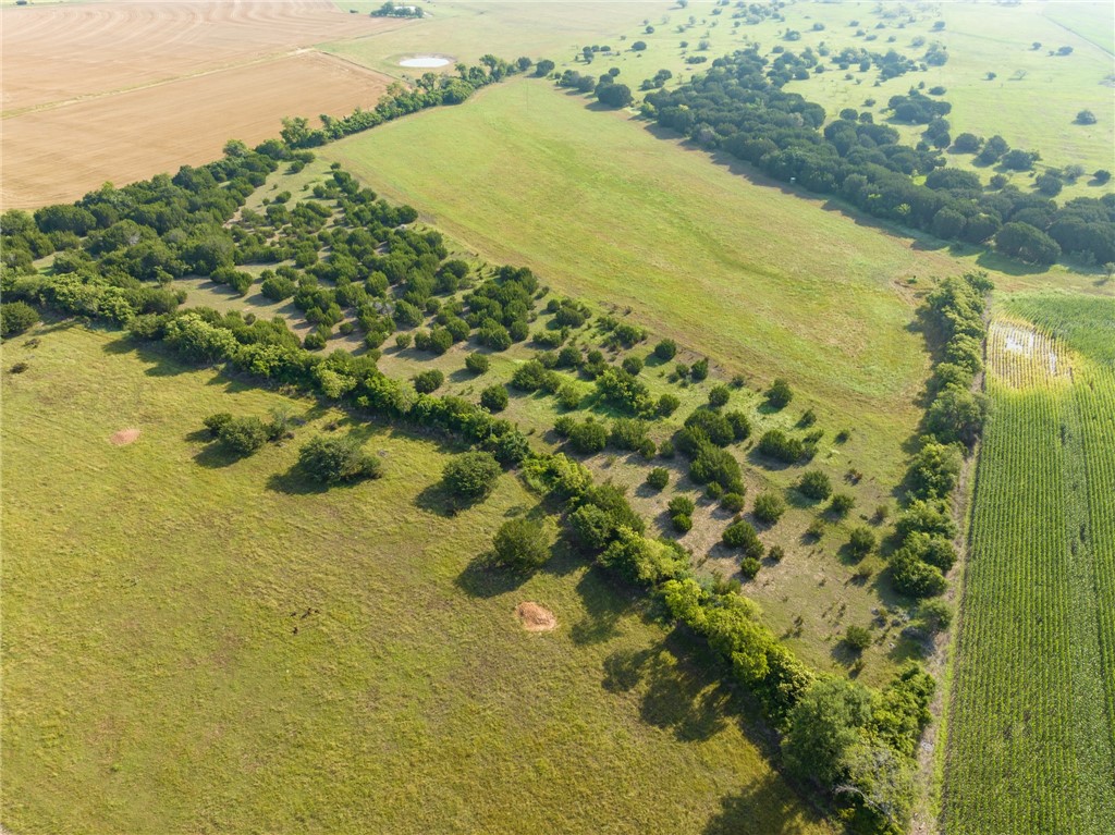 16401 Cedar Rock Parkway , Crawford, TX, 76638 | 215746 | Realty Texas LLC