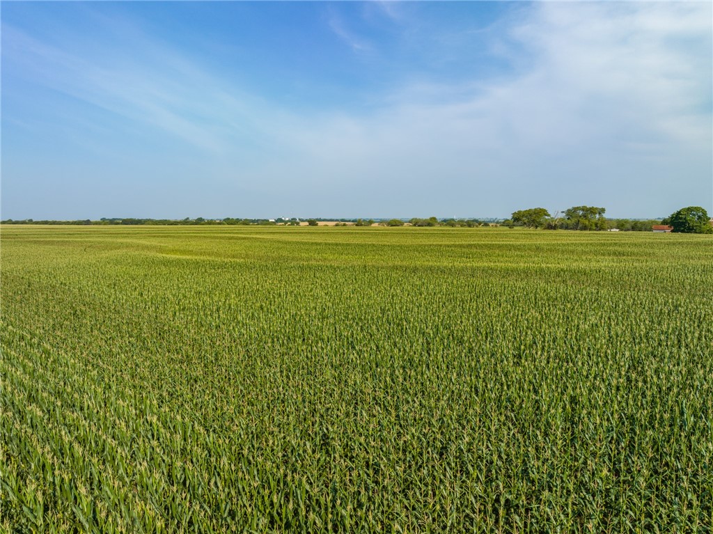 16401 Cedar Rock Parkway , Crawford, TX, 76638 | 215746 | Realty Texas LLC