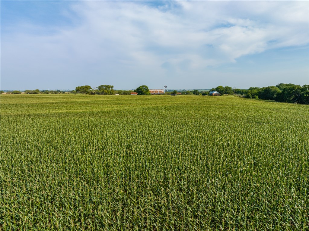16401 Cedar Rock Parkway , Crawford, TX, 76638 | 215746 | Realty Texas LLC