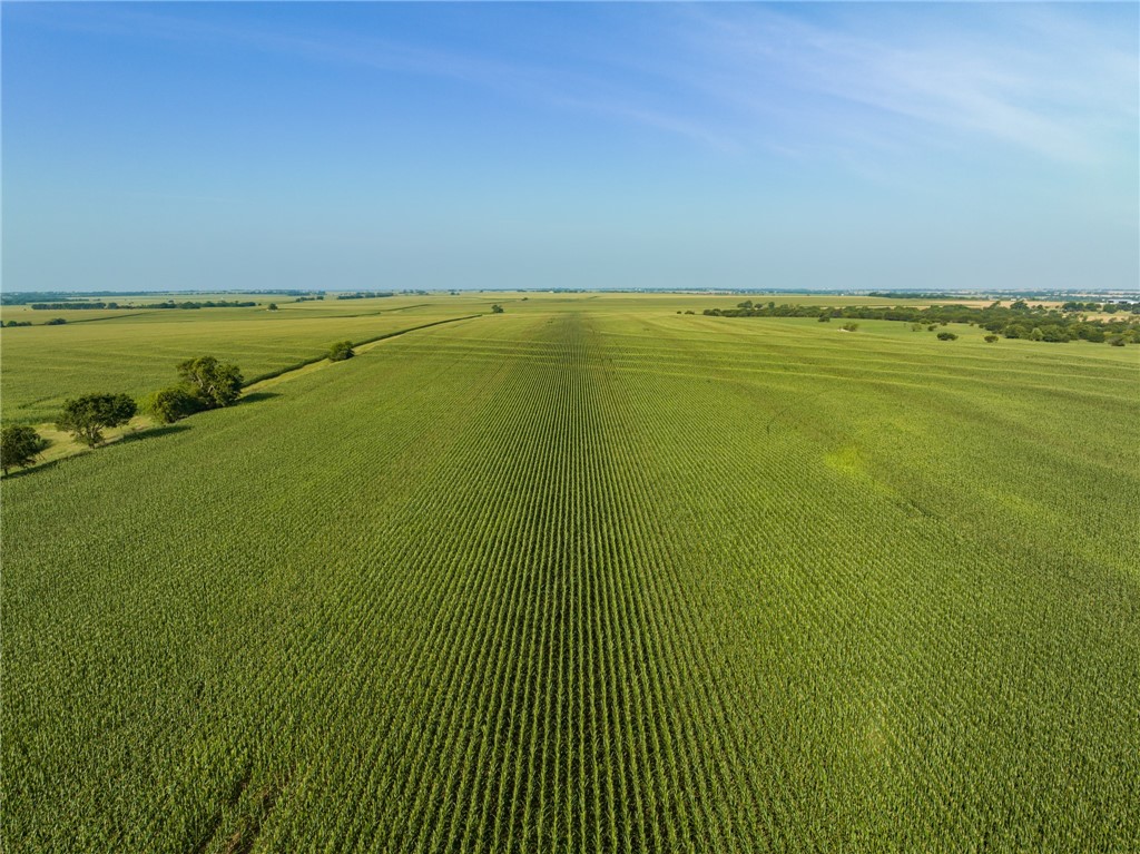 16401 Cedar Rock Parkway , Crawford, TX, 76638 | 215746 | Realty Texas LLC