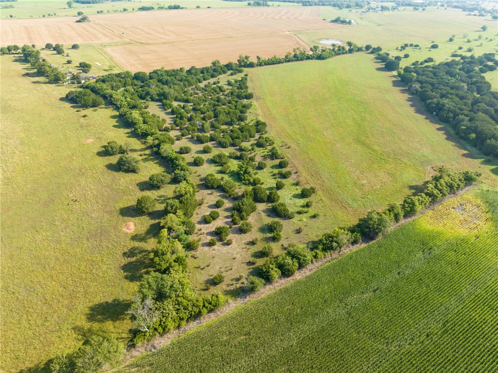 16401 Cedar Rock Parkway , Crawford, TX, 76638 | 215746 | Realty Texas LLC