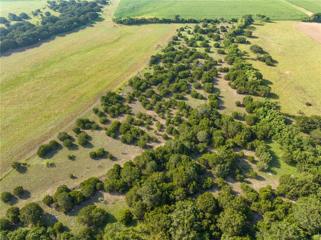 16401 Cedar Rock Parkway , Crawford, TX, 76638 | 215746 | Realty Texas LLC