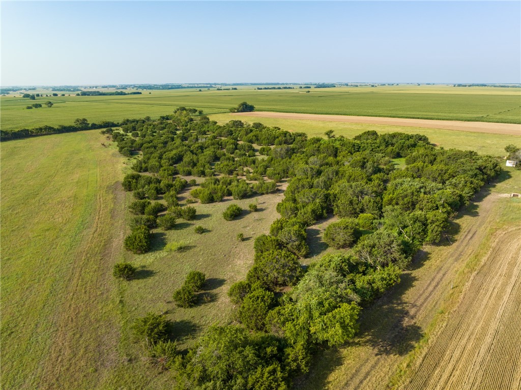 16401 Cedar Rock Parkway , Crawford, TX, 76638 | 215746 | Realty Texas LLC