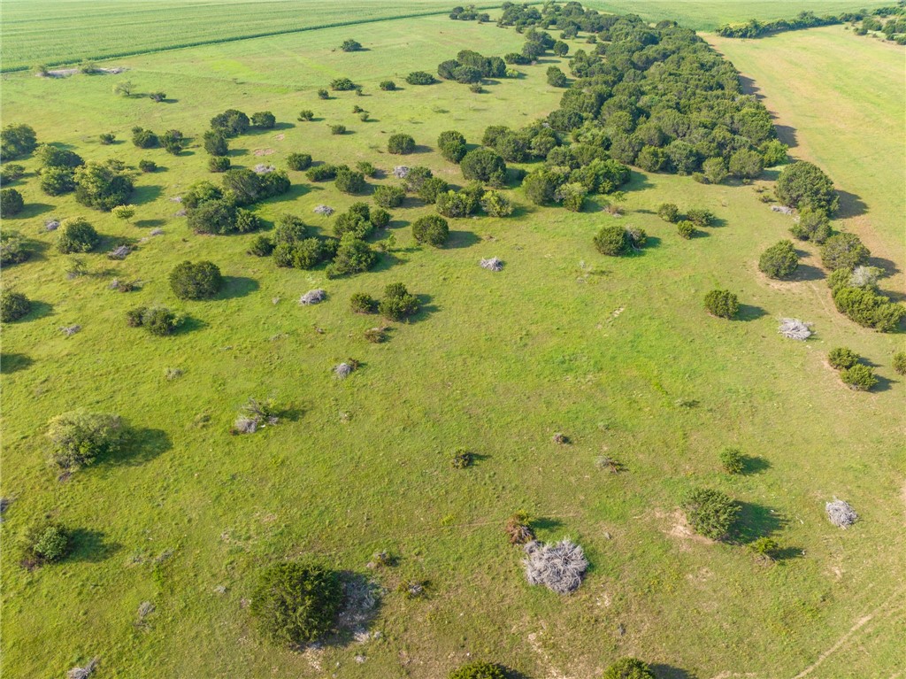 16401 Cedar Rock Parkway , Crawford, TX, 76638 | 215746 | Realty Texas LLC