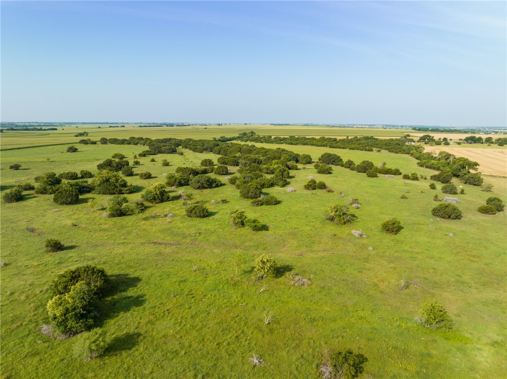 16401 Cedar Rock Parkway , Crawford, TX, 76638 | 215746 | Realty Texas LLC