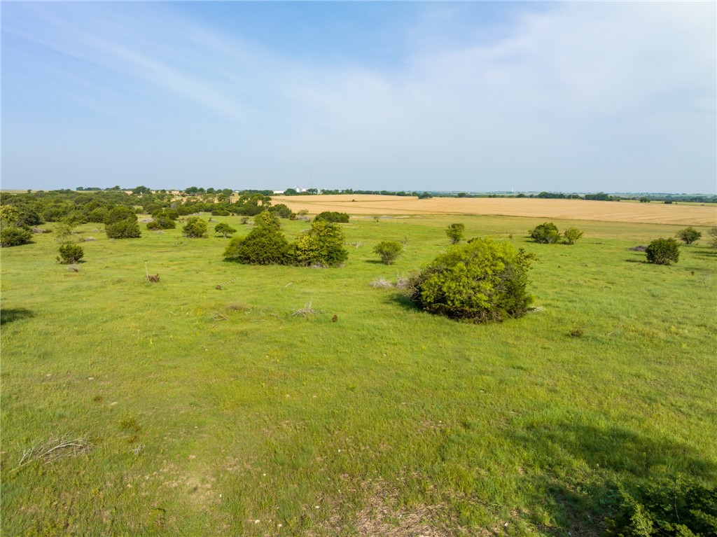 16401 Cedar Rock Parkway , Crawford, TX, 76638 | 215746 | Realty Texas LLC