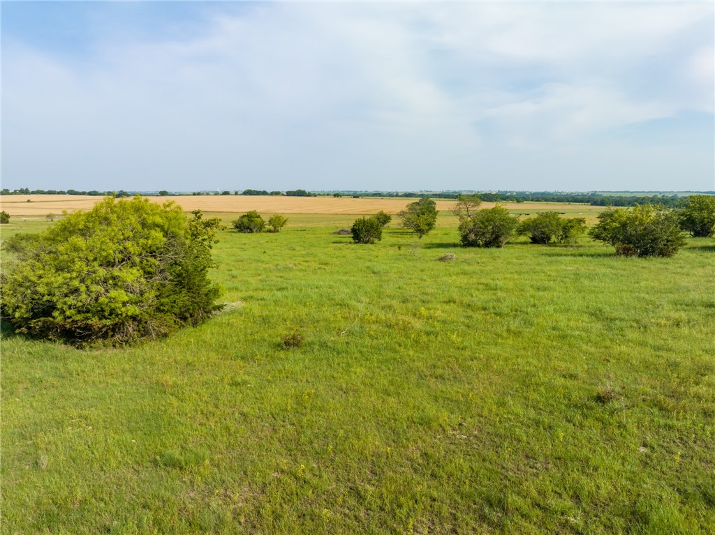 16401 Cedar Rock Parkway , Crawford, TX, 76638 | 215746 | Realty Texas LLC