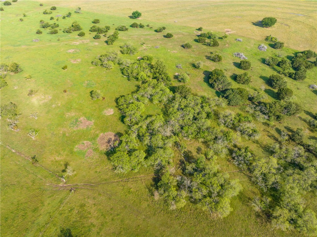 16401 Cedar Rock Parkway , Crawford, TX, 76638 | 215746 | Realty Texas LLC