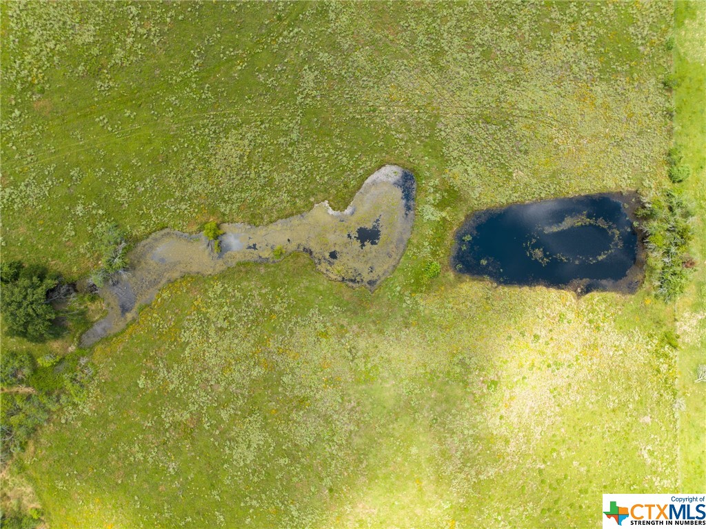 11 ACRES County Road 329, Milano, TX, 76556 | 510139 | Realty Texas LLC