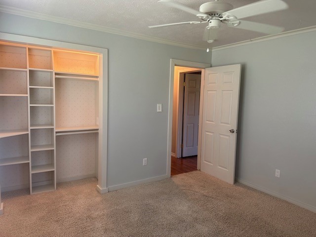 1119 Winchester Trail , Angleton, TX, 77515 | 72777616 | Realty Texas LLC