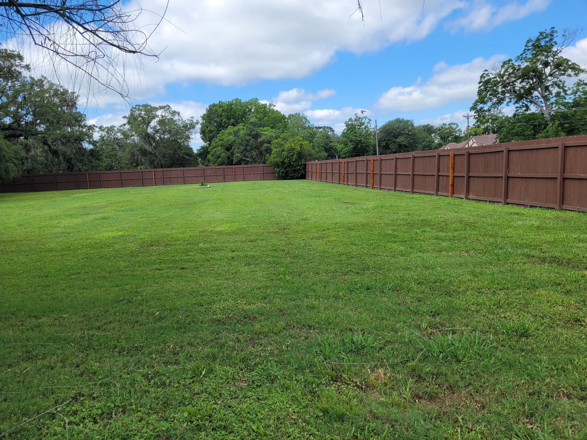 1119 Winchester Trail , Angleton, TX, 77515 | 72777616 | Realty Texas LLC