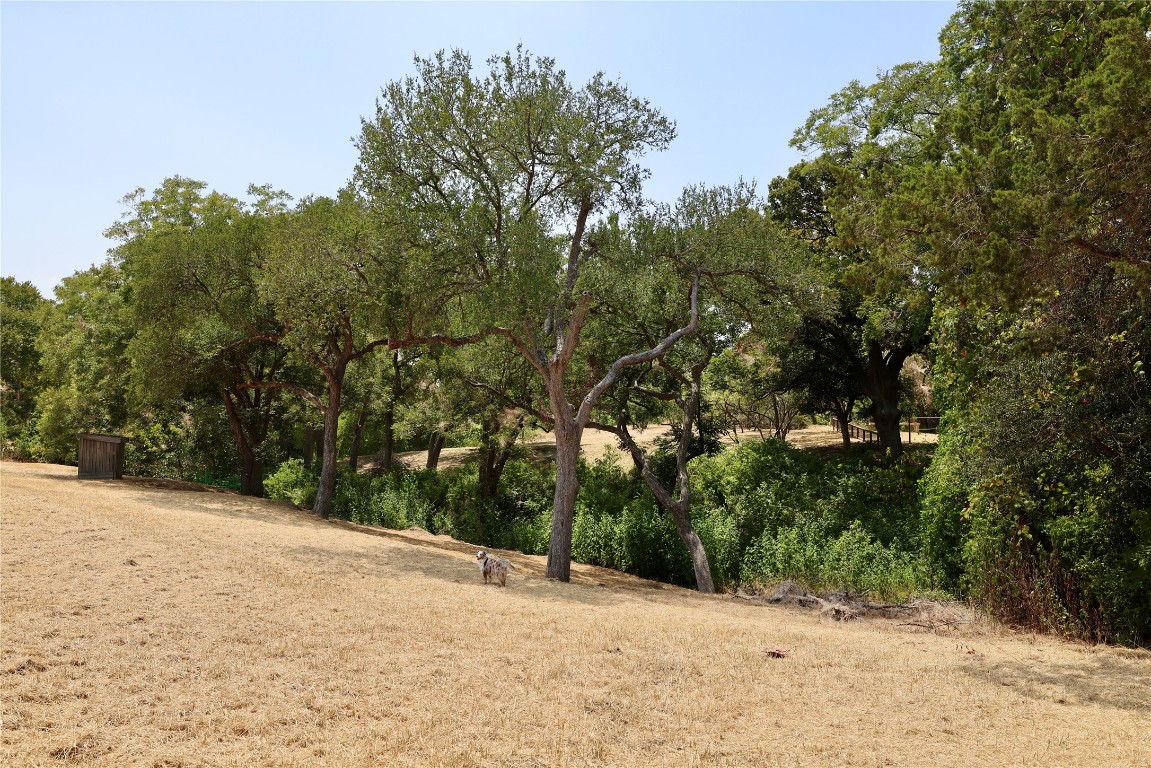 Lots 1 & 2 NW River Road , Martindale, TX, 78655 | 6034707 | Realty Texas LLC