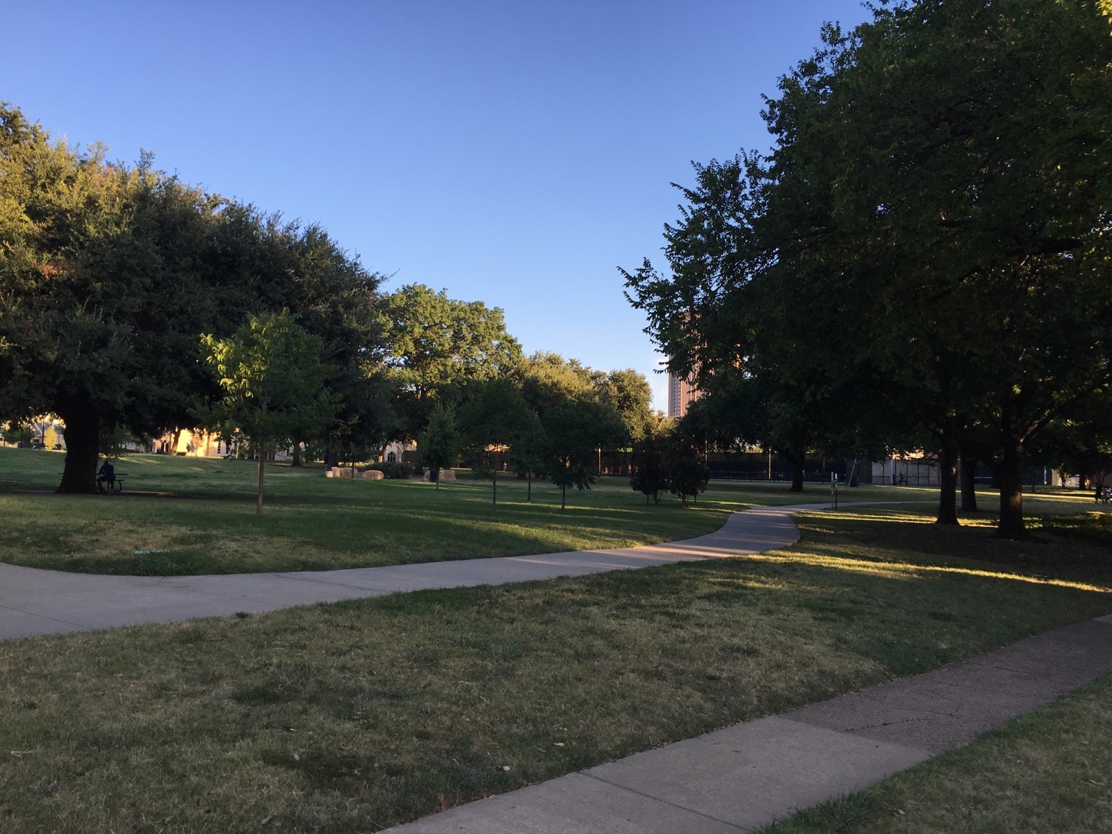 4039 Cole Avenue 118 , Dallas, TX, 75204 | 20416651 | Realty Texas LLC
