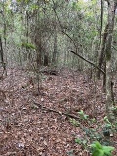 TBD S Dove Creek Road , Cleveland, TX, 77328 | 84027492 | Realty Texas LLC