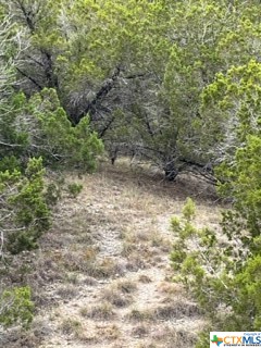 8702 TEPEE CV, Lago Vista, TX, 78645 | 521687 | Realty Texas LLC