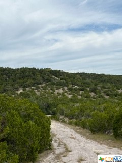 8702 TEPEE CV, Lago Vista, TX, 78645 | 521687 | Realty Texas LLC