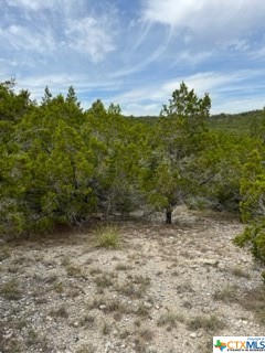 8702 TEPEE CV, Lago Vista, TX, 78645 | 521687 | Realty Texas LLC