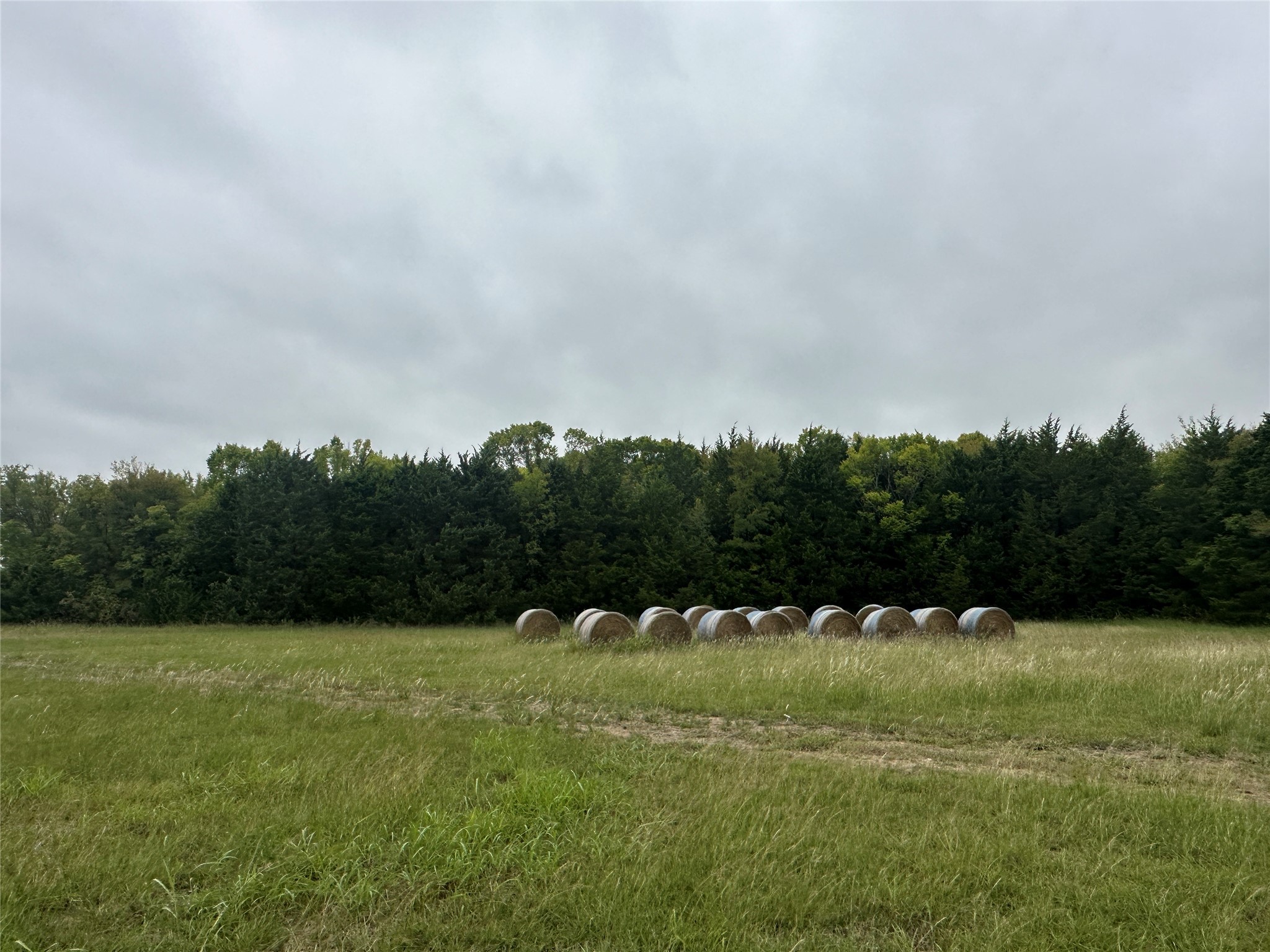 133 Rebecca Road , Sunnyvale, TX, 75182 | 20465604 | Realty Texas LLC