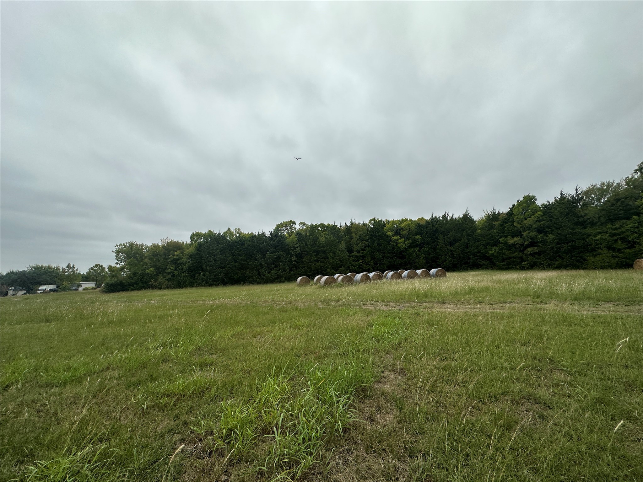 133 Rebecca Road , Sunnyvale, TX, 75182 | 20465604 | Realty Texas LLC