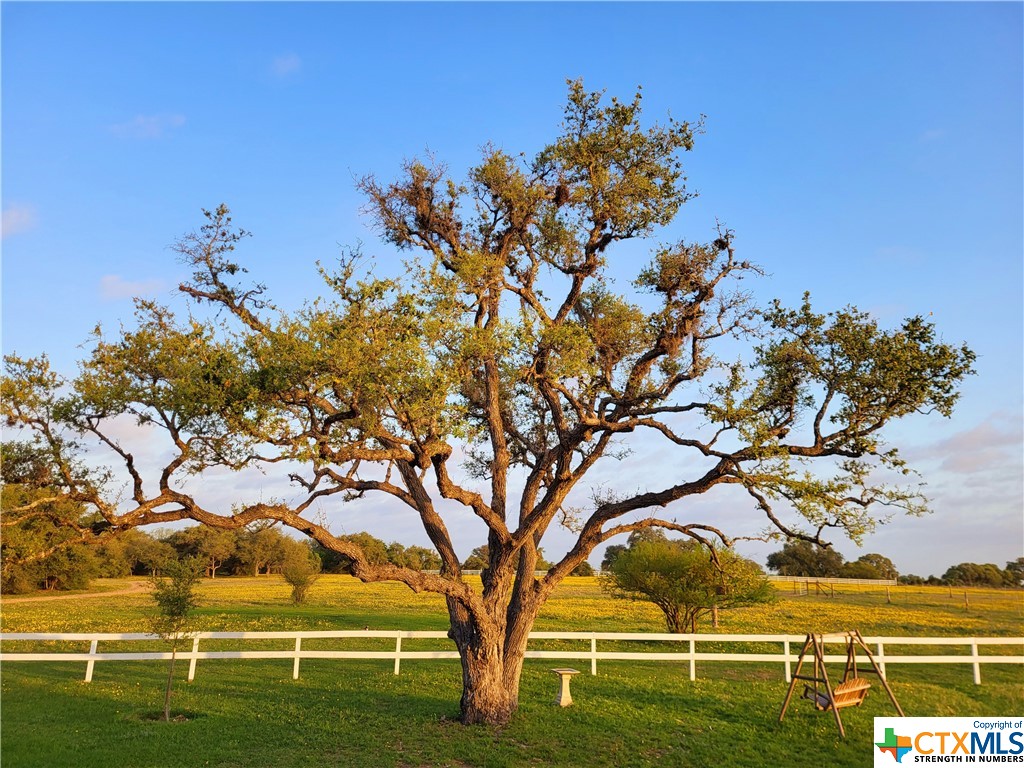 1319 Matthew Adams Road , Yoakum, TX, 77995 | 525423 | Realty Texas LLC