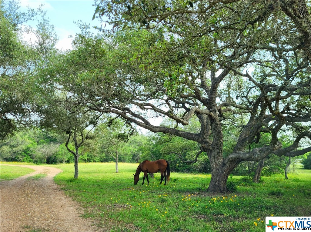1319 Matthew Adams Road , Yoakum, TX, 77995 | 525423 | Realty Texas LLC