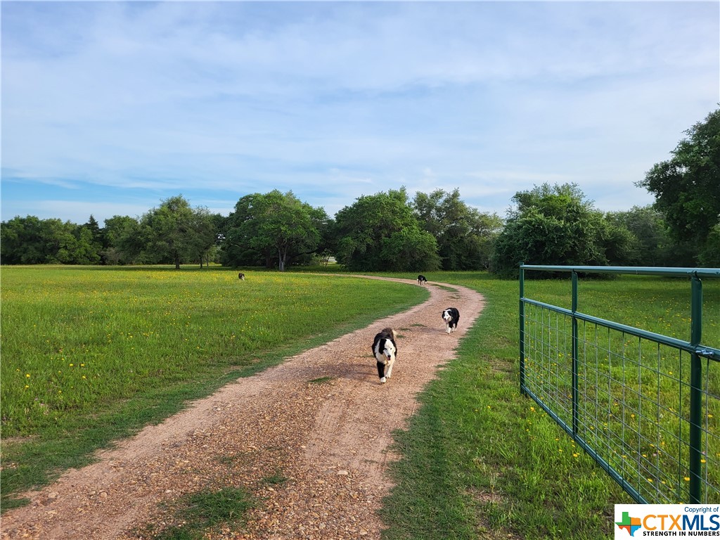 1319 Matthew Adams Road , Yoakum, TX, 77995 | 525423 | Realty Texas LLC