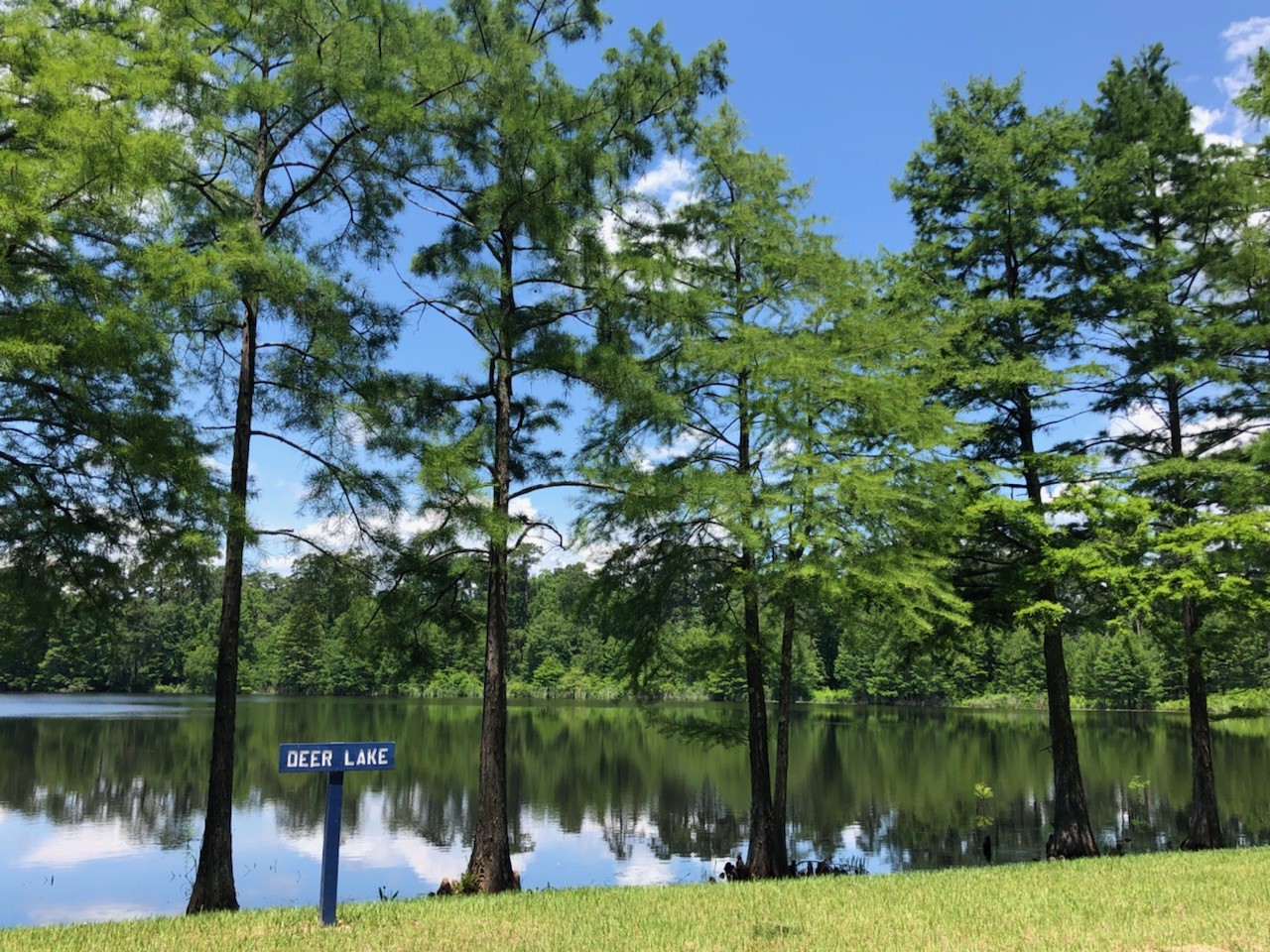 823 Sendero Trail , Conroe, TX, 77304 | 78527139 | Realty Texas LLC