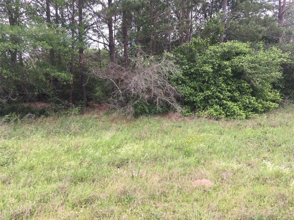 0 Donoho Street, Hempstead, TX, 77445 | 9728930 | Realty Texas LLC