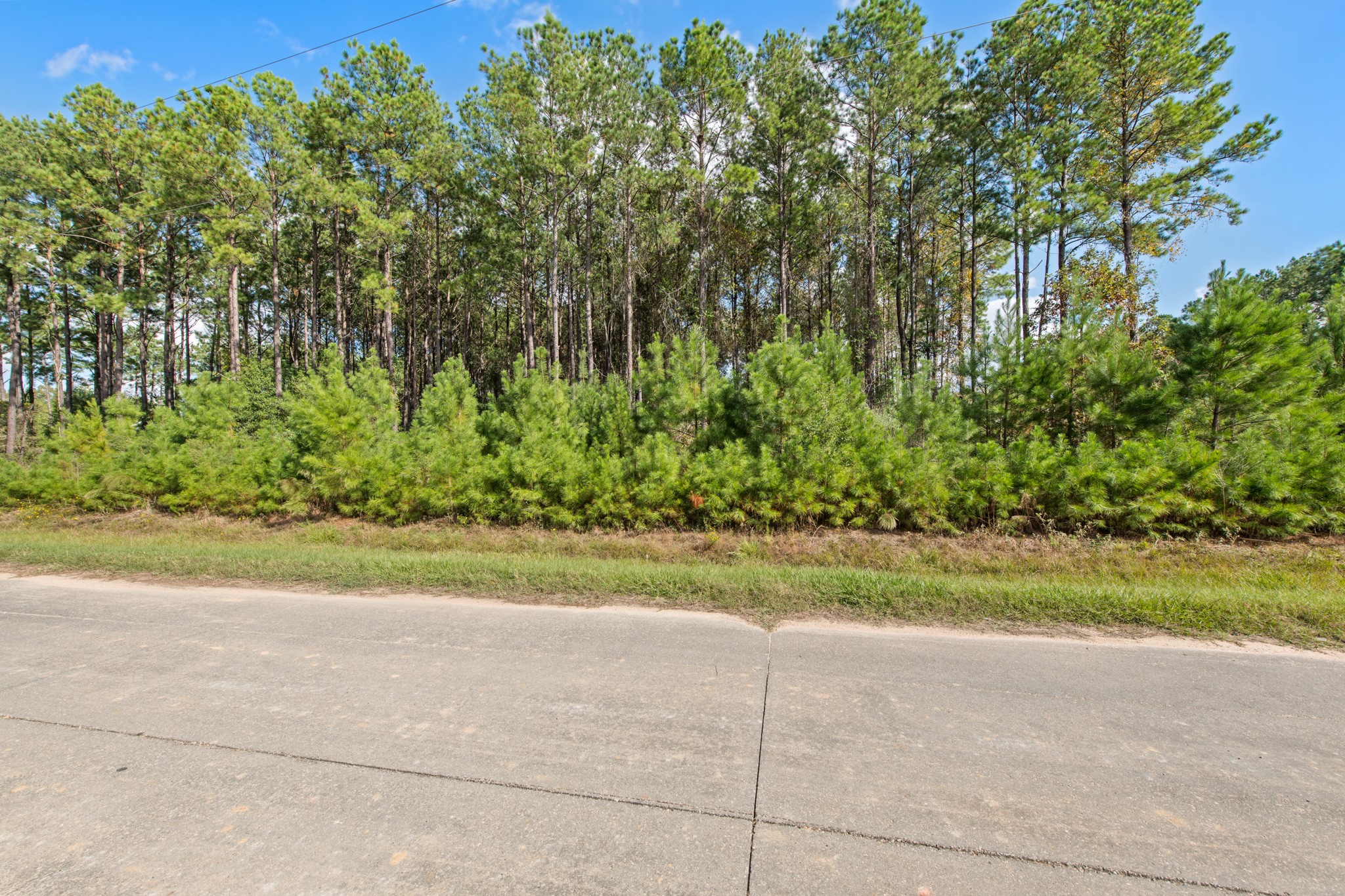 34 Road 5016 , Cleveland, TX, 77327 | 10639216 | Realty Texas LLC