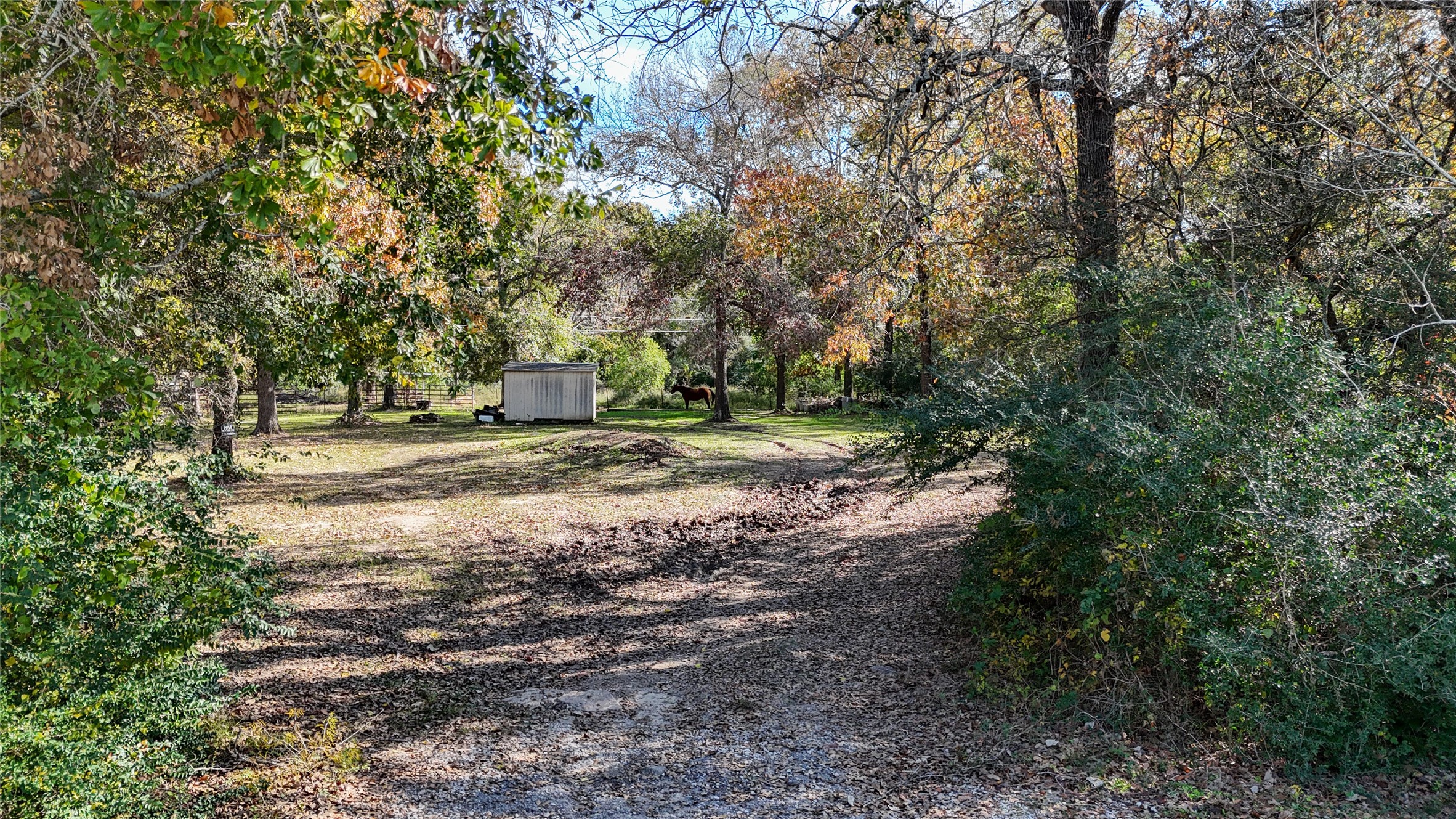 11125 Womack Cemetery Rd , Montgomery, TX, 77316 | 70426895 | Realty Texas LLC