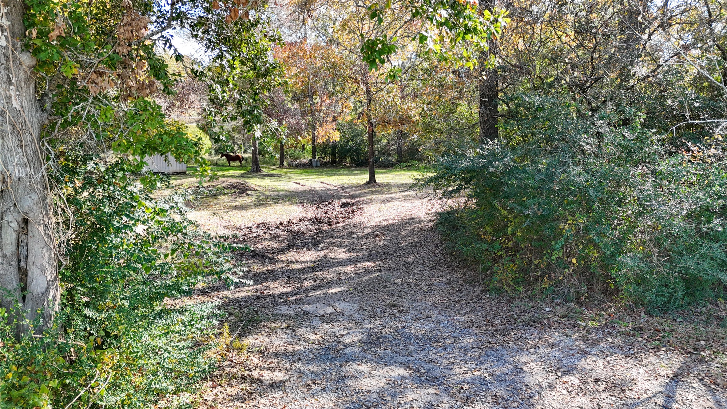 11125 Womack Cemetery Rd , Montgomery, TX, 77316 | 70426895 | Realty Texas LLC