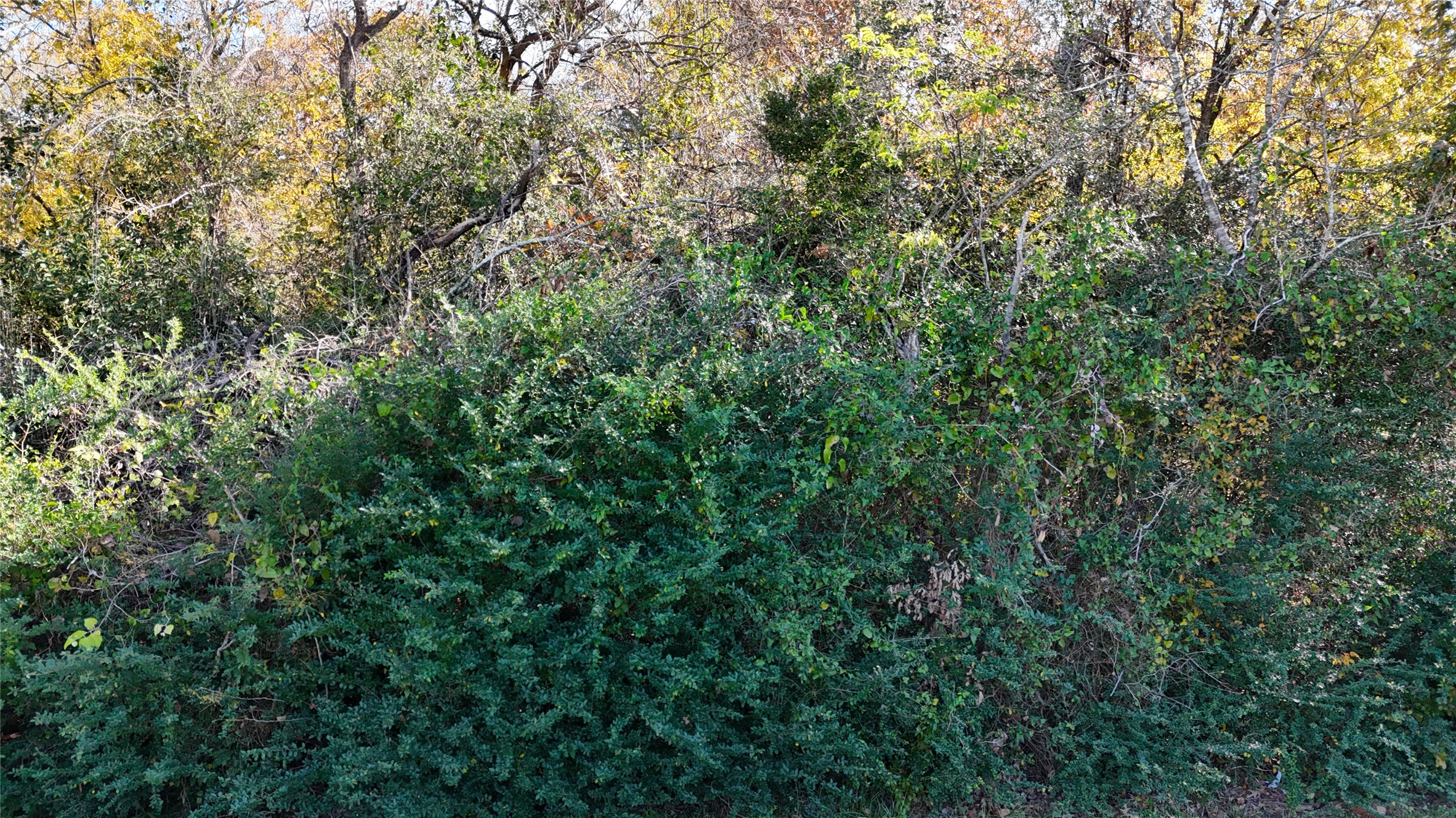 11125 Womack Cemetery Rd , Montgomery, TX, 77316 | 70426895 | Realty Texas LLC