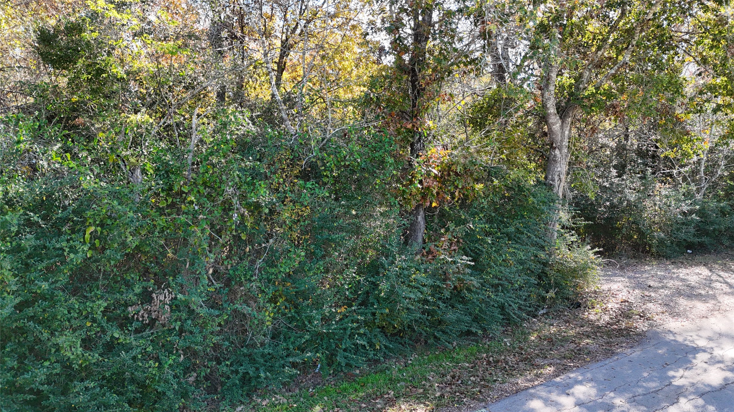 11125 Womack Cemetery Rd , Montgomery, TX, 77316 | 70426895 | Realty Texas LLC
