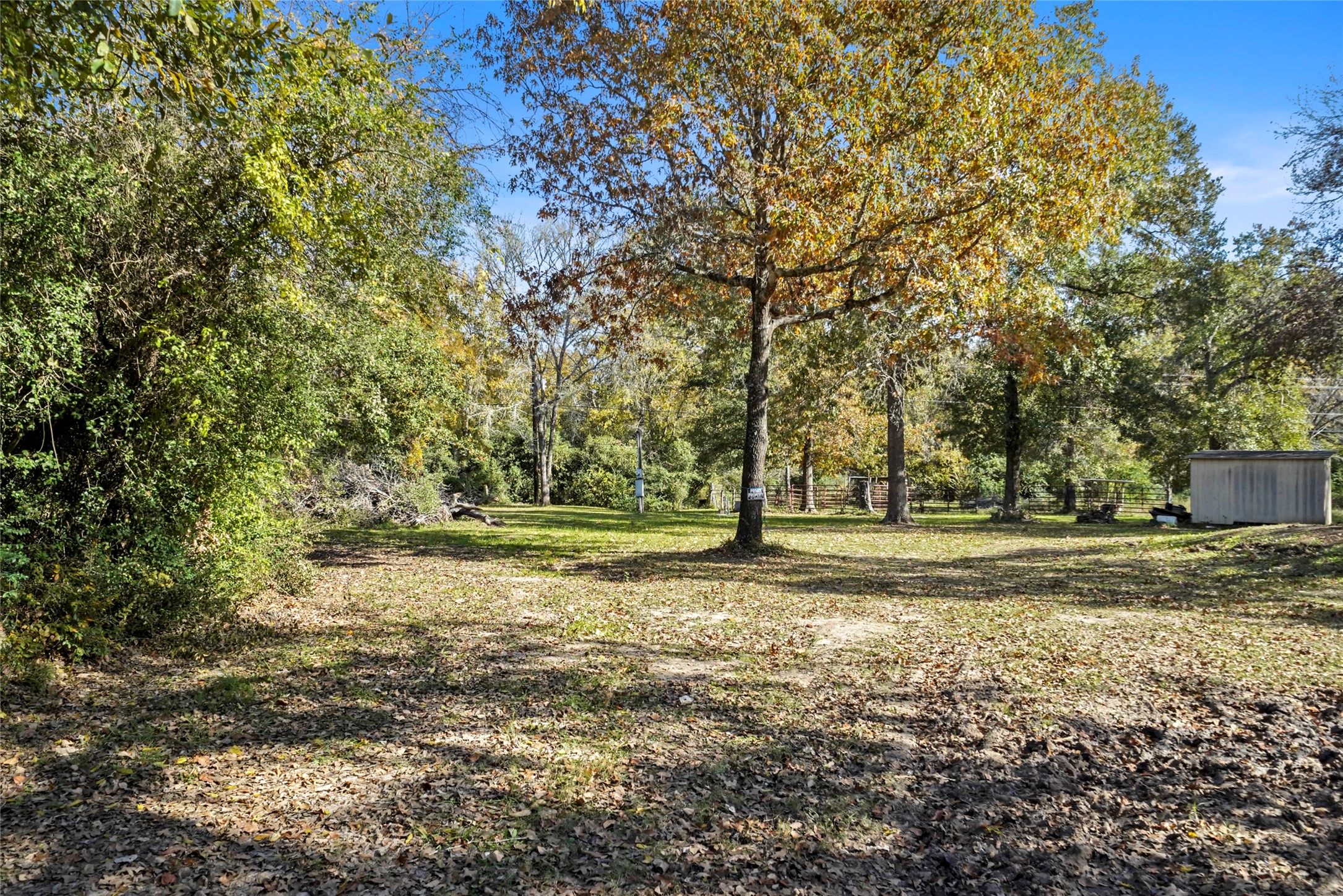 11125 Womack Cemetery Rd , Montgomery, TX, 77316 | 70426895 | Realty Texas LLC