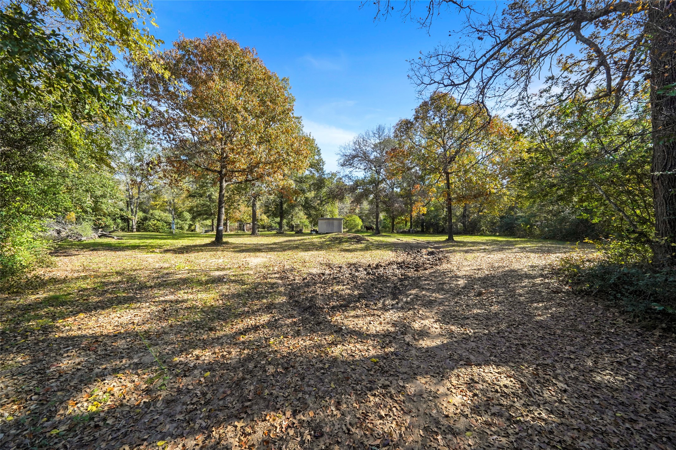 11125 Womack Cemetery Rd , Montgomery, TX, 77316 | 70426895 | Realty Texas LLC