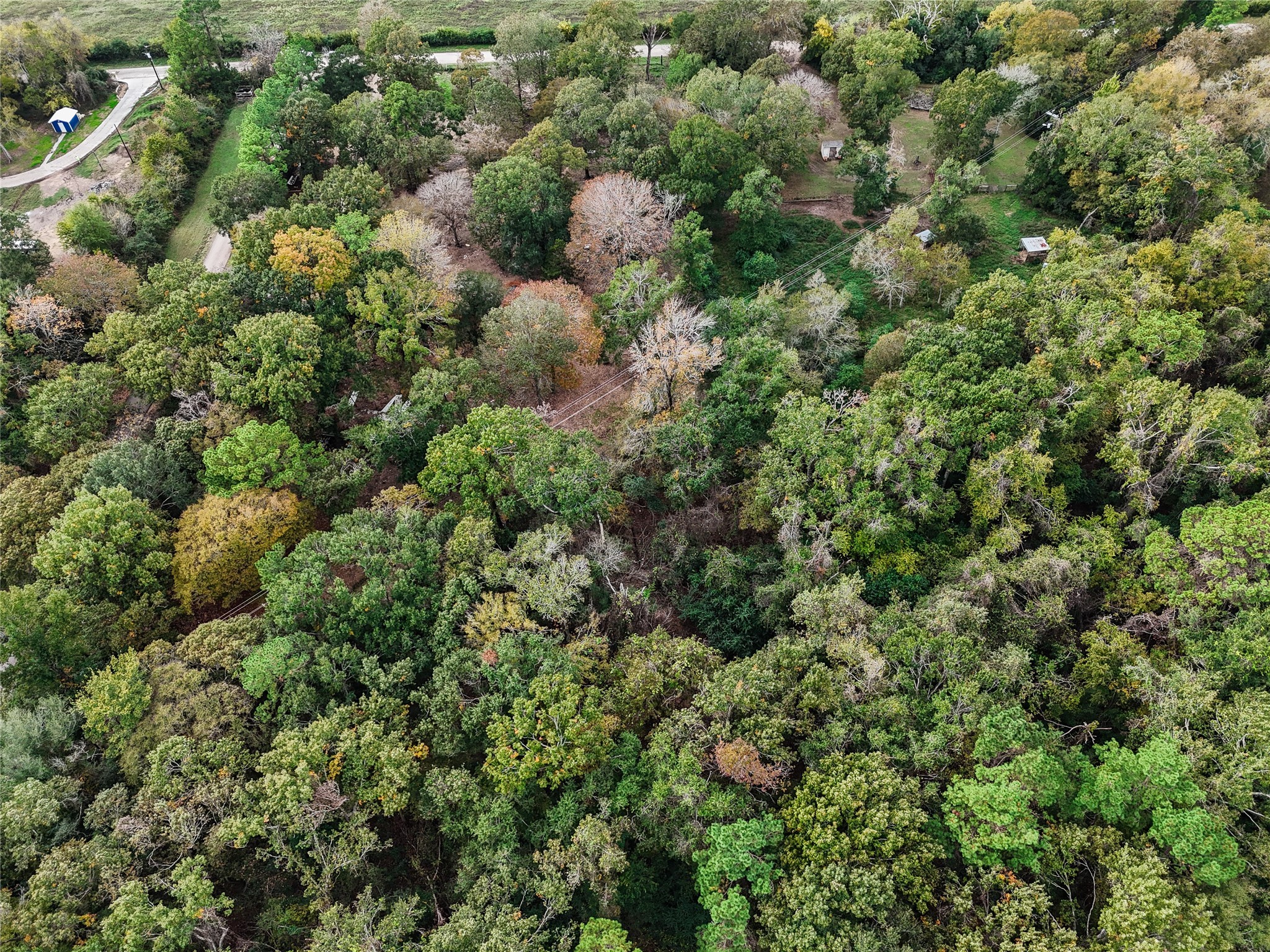 11125 Womack Cemetery Rd , Montgomery, TX, 77316 | 70426895 | Realty Texas LLC