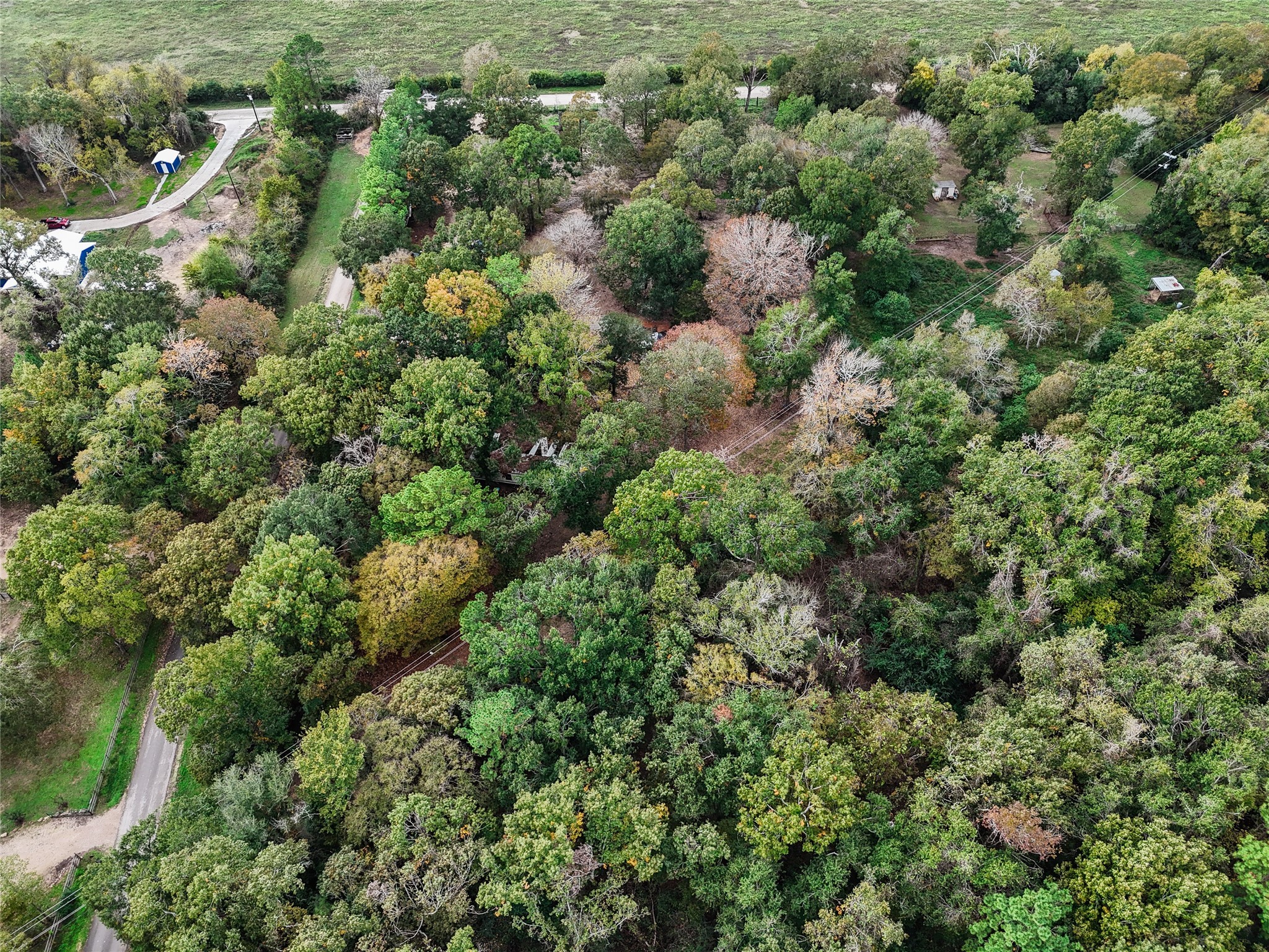 11125 Womack Cemetery Rd , Montgomery, TX, 77316 | 70426895 | Realty Texas LLC