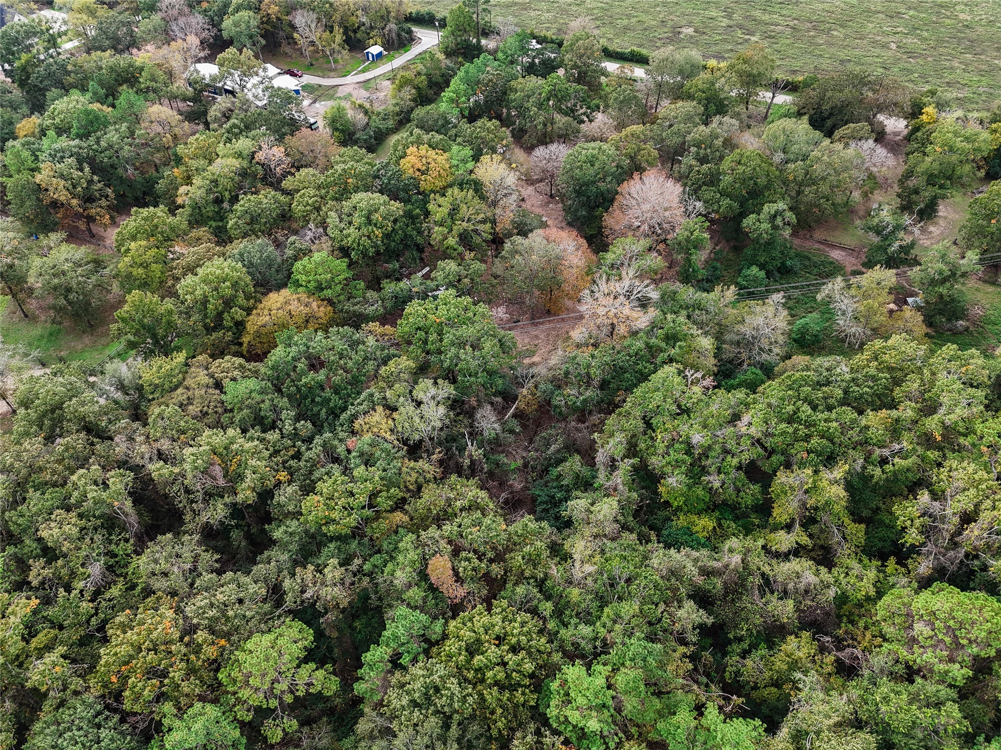 11125 Womack Cemetery Rd , Montgomery, TX, 77316 | 70426895 | Realty Texas LLC