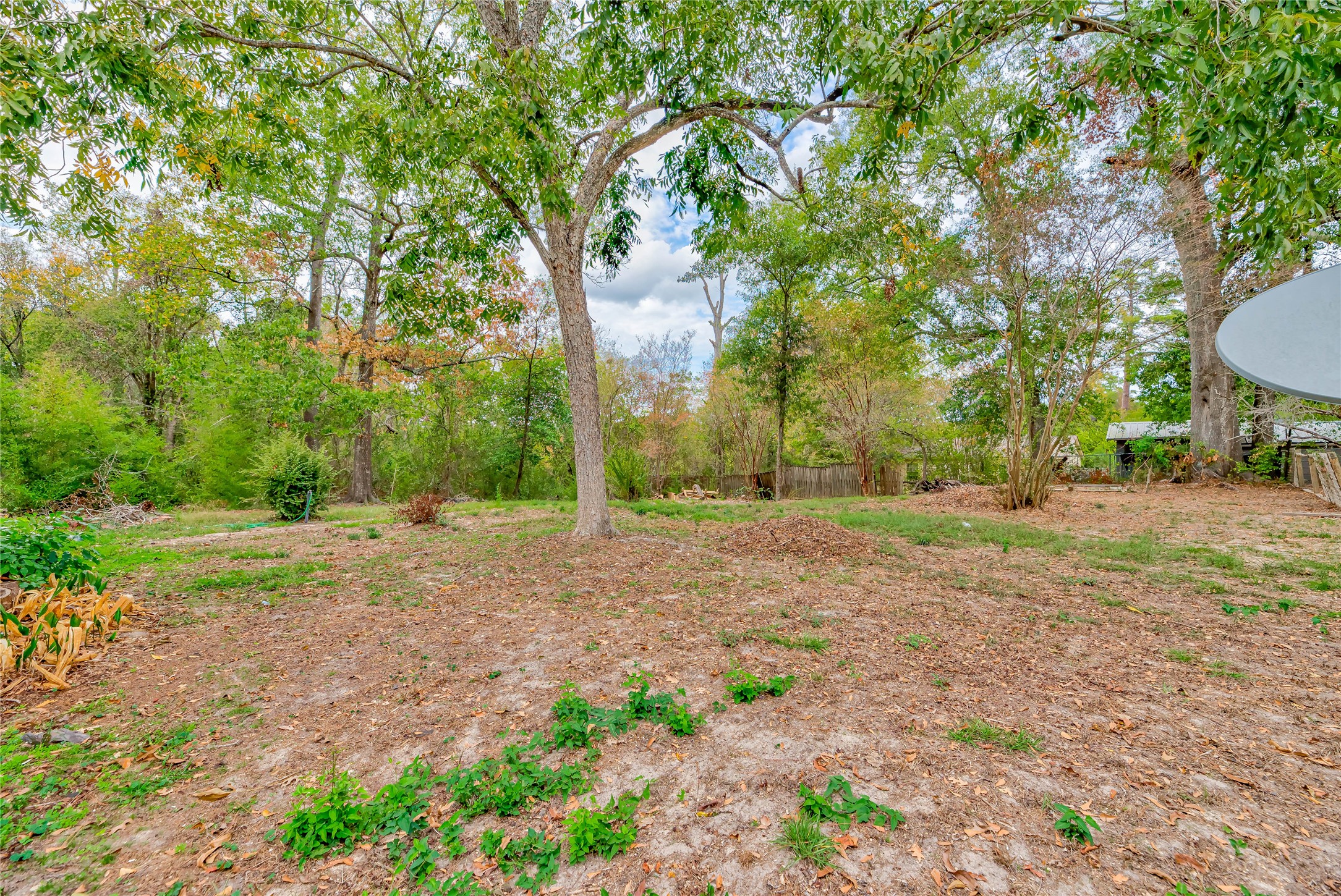 944 College Street , Jasper, TX, 75951 | 42411678 | Realty Texas LLC